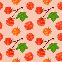 Cloudberry and leaves seamless pattern. vector