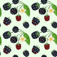Blackberry and leaves seamless pattern. vector