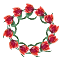 spring wreath of red tulip flowers illustration png