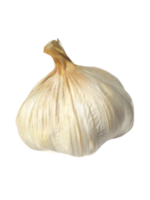 head of garlic, spices png