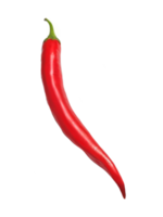 rood heet Chili peper geïsoleerd Aan png