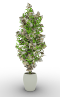 Nigerian naira tree. 3d rendering of Money on tree isolated on transparent background. financial growth png