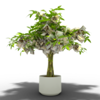 árbol naira nigeriano. Representación 3D de dinero en árbol aislado sobre fondo transparente. crecimiento financiero png