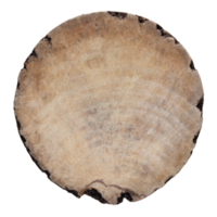 oud ronde hout geïsoleerd met knipsel pad png