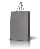 Gray paper bag isolated with reflect floor for mockup png