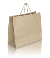 brown paper bag isolated with reflect floor for mockup png