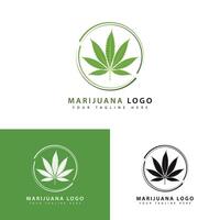 Modern cannabis logo template creative design. vector illustration of marijuana leaf.