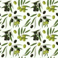 Seamless pattern with olive branches and leaves. vector