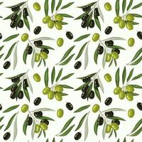 Seamless pattern with olive branches and leaves. vector