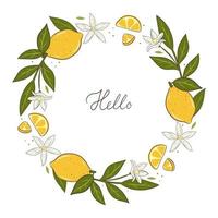 Round frame with lemons isolated on white background. Vector graphics.