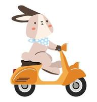 Cute rabbit driving yellow scooter vector