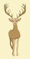 Vector isolated illustration of deer.