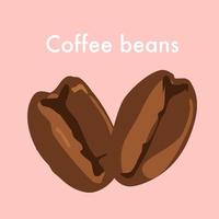 Coffee beans icon vector