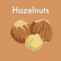 Hazelnuts icon and sticker vector