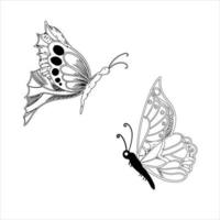 mariposa conjunto gráfico negro blanco aislado dibujo ilustración vector. patrón moderno sin costuras de contornos de mariposa monarca sobre fondo blanco para el diseño de decoración. elemento de diseño de primer plano. vector