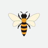 icono de diseño de ilustraciones de logotipo de abeja vector