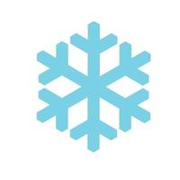 icono de copo de nieve vectorial. ilustración para web vector