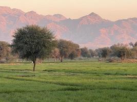 Mountains and trees on a land photo