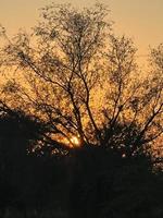 Mountains and trees on a land photo