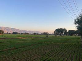 Mountains and trees on a land photo