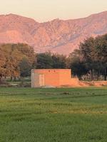 Mountains and trees on a land photo