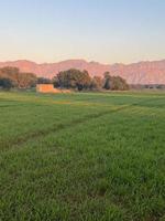 Mountains and trees on a land photo