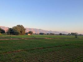 Mountains and trees on a land photo