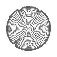 Tree ring wooden log. Circle annual stump texture and topography circle. Outline timber slice. Vector