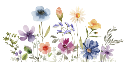 bordure de fleurs multicolores, illustration aquarelle pour le design. png