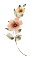 gren med rosa blommor, vattenfärg illustration. png