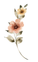 zweig mit rosa blumen, aquarellillustration. png