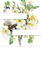 invitation de mariage avec illustration de fleurs de plumeria png