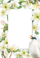 nozze invito con plumeria fiori illustrazione png