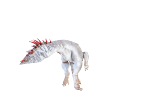 Protoceratops  , dinosaur on  isolated background png