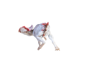 protoceratops, dinossauro em fundo isolado png