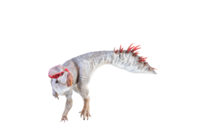 protoceratopo , dinosauro su isolato sfondo png