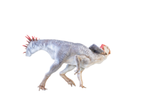 protoceratops, dinosaurio sobre fondo aislado png