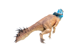 Protoceratops, Dinosaurier auf isoliertem Hintergrund png