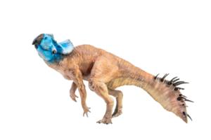 protoceratops, dinosaurio sobre fondo aislado png