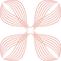 pétalas de flores, ornamento de linha de flores png