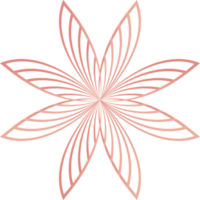 flower petals, flower line ornament png