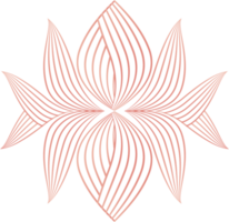 pétalas de flores, ornamento de linha de flores png