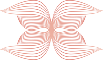 pétalas de flores, ornamento de linha de flores png