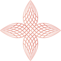 pétalas de flores, ornamento de linha de flores png