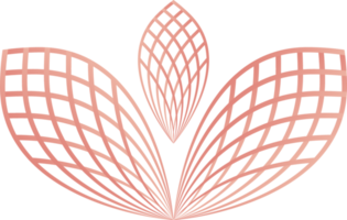 pétalas de flores, ornamento de linha de flores png