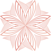 pétalas de flores, ornamento de linha de flores png