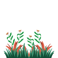 herbe esthétique décorative avec des fleurs pour la décoration d'ornement png
