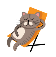 süße schlafende Katze png