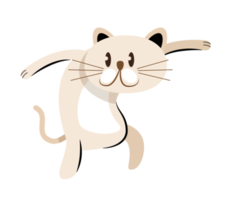 cute cat standing on two legs png