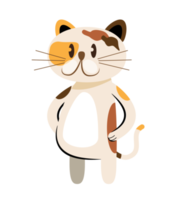 cute cat standing on two legs png